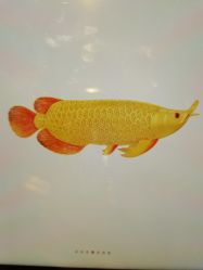 -周生生Chow Sang Sang(苏州美罗高新店)