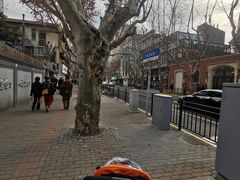 -LADY FAFA(巨鹿路陕西南路路口店)