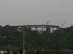 -飞凤山奥体公园