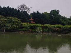 -嘉定紫藤园