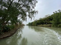 -大湾区中央湿地公园