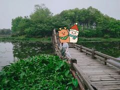 -艾溪湖湿地公园
