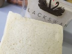 -BLACKSWAN黑天鹅(环球店)