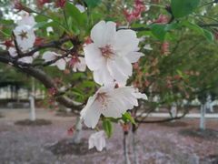 -公益图书馆(江南大学店)