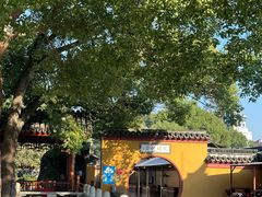 -上海东林寺(金山区)