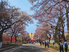 -吉林大学(南岭校区)
