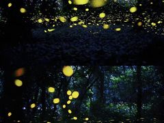 -华南国家植物园-售票处