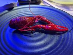 -红盔甲·小龙虾(定西路店)