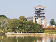 -大湾区中央湿地公园