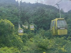 -黔灵山公园