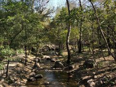 -玉渡山自然风景区