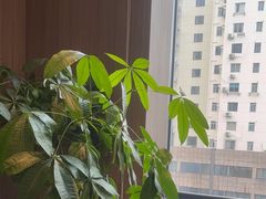 -忆家一宴(大木桥路旗舰店)