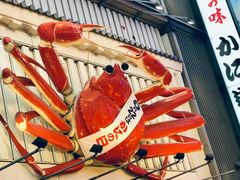 -蟹道乐(道顿堀本店)