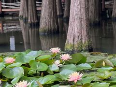 -捞渔河湿地公园