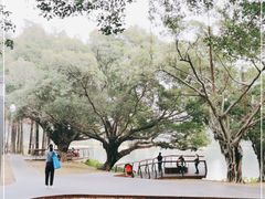 -四海公园(南山区)