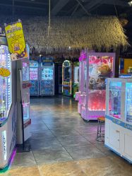 -卡通尼·Safari非洲探索乐园·生日会(金桥国际商业广场店)