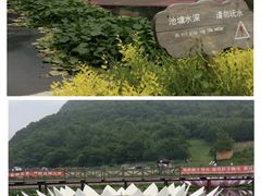 -帽儿山风景区