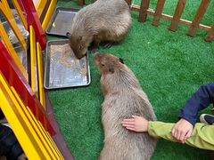 -麦当劳(新世纪环球中心店)