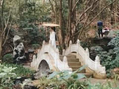 -深圳国际园林花卉博览园