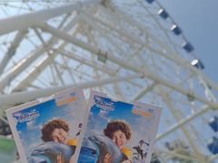 -秦皇岛乐岛海洋王国