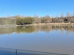 -春晖园度假酒店温泉