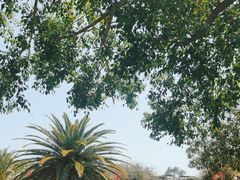 -三亚南山文化旅游区