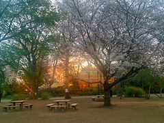 -三鹰之森吉卜力美术馆