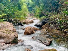 -广州白江湖森林公园