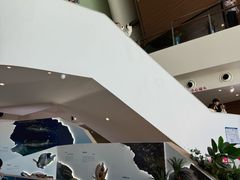 -抱抱地球咖啡馆(国家海洋博物馆店)
