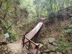 -波尔登森林公园