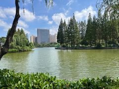 -黄兴公园