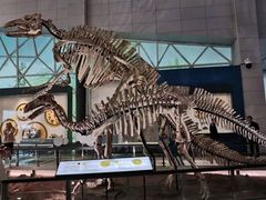 -湖南省地质博物馆