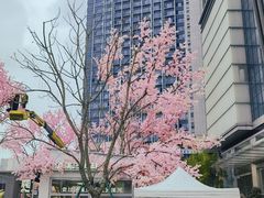 -首开·龙湖成都西宸天街