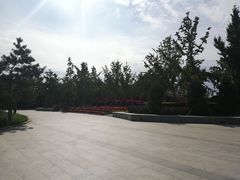 -大兴滨河森林公园