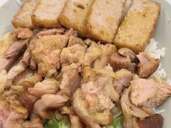 -陆长玖古法猪脚饭(玄风桥店)