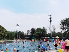 -柳浪游泳场