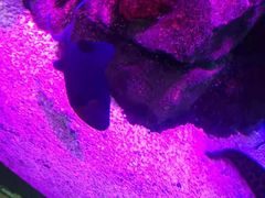 -沈阳海洋探索中心