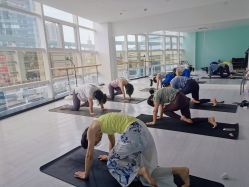 -蓝菲女子能量站·舞蹈·瑜伽·体塑