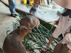 -龙谷湾旅游休闲度假区