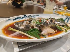 清蒸竹笋壳鱼-新南华大酒店(长寿店)