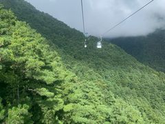 -苍山感通索道