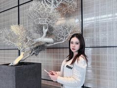 -深圳中洲万豪酒店·大堂酒廊·高空海景