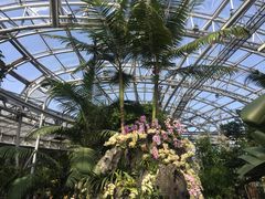 -北京植物园-展览温室