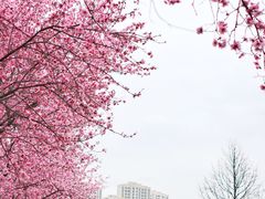 -白塘生态植物园