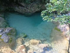-南海湾森林生态园