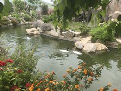 -芽庄珍珠岛游乐园