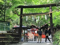 -野宫神社