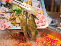 -青山青豆花·笑禅豆腐鱼(黄泥塝店)