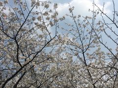 -御花园·粤菜·海鲜火锅(中山公园店)