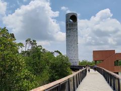 -东寨港红树林旅游区